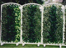 Capture+1 hedge
